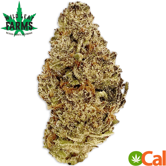 KHALIFA KUSH (3.5G) at Elevation 2477' Cannabis Dispensary