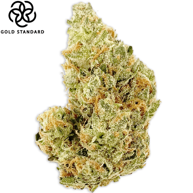 BLACK MAPLE ZUAVA (3.5G) at Elevation 2477' Cannabis Dispensary