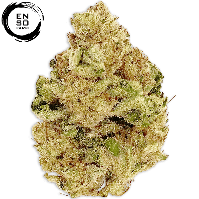STRAWBERRY LOBSTER (3.5G)