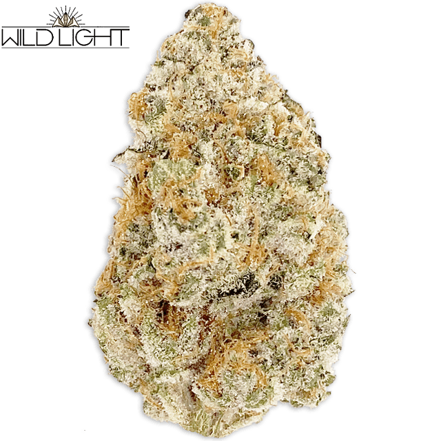 FOOL'S GOLD (3.5G)