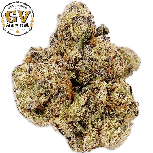 G-RUNTZ (3.5G)