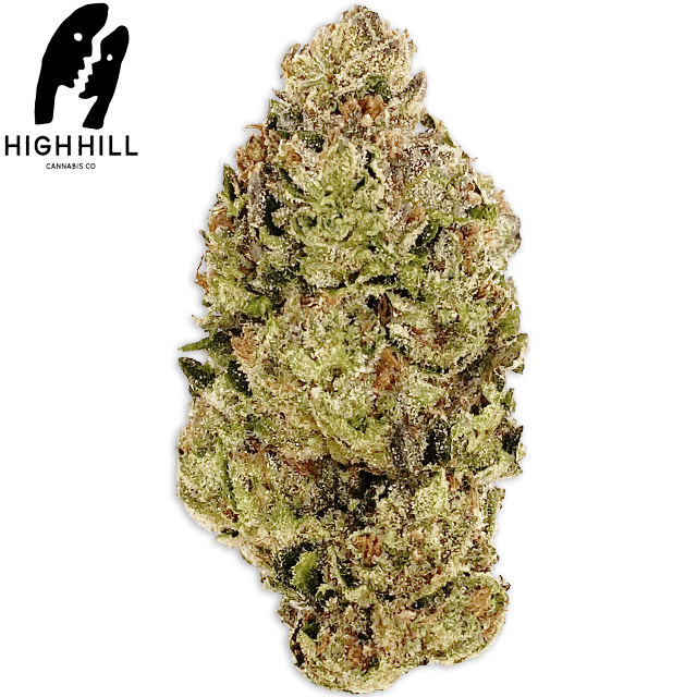 DUMMY LOCK (3.5G)