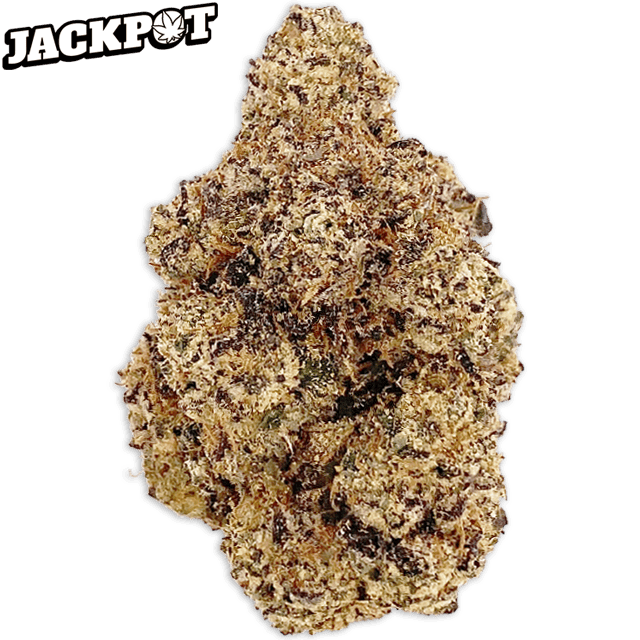 SWEET C GELATO (3.5G)