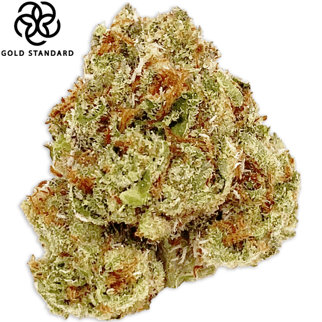TANGIE (3.5G)