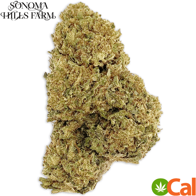 PINEAPPLE KUSH - CBD 20:1 (3.5G)