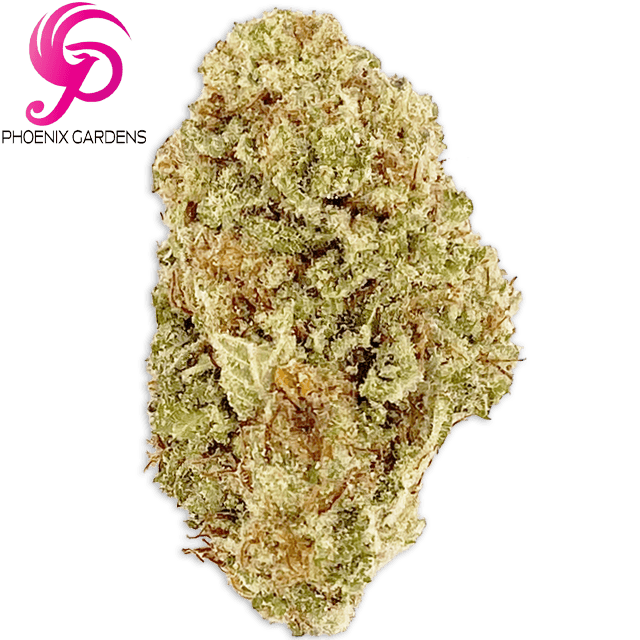 PURPLE PUNCH (3.5G)