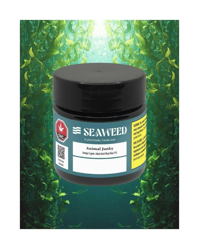 Seaweed Cannabis | Craft Animal Junky | 3.5g