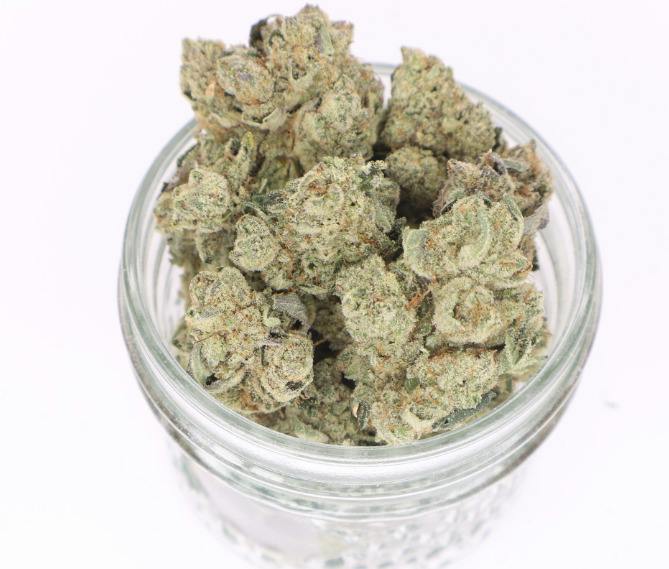 Miracle Mints | Smalls | Creekside Farms