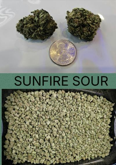 Sunfire Sour | 1oz | Pre-Packed | Shake | Sunfire Farms