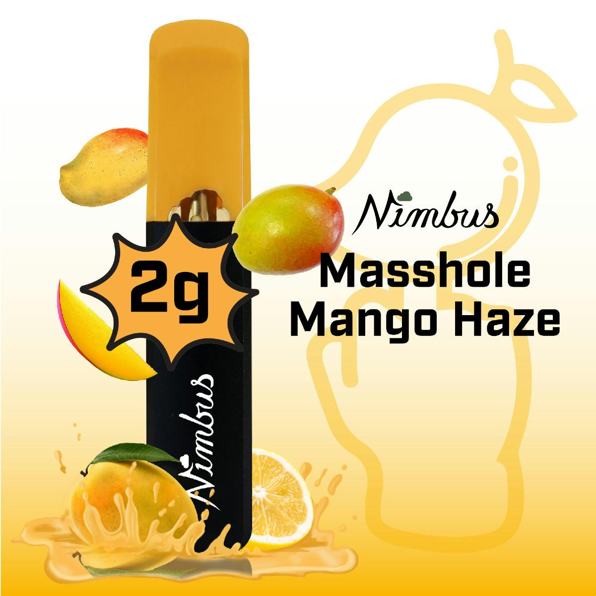 Masshole Mango Haze Disposable