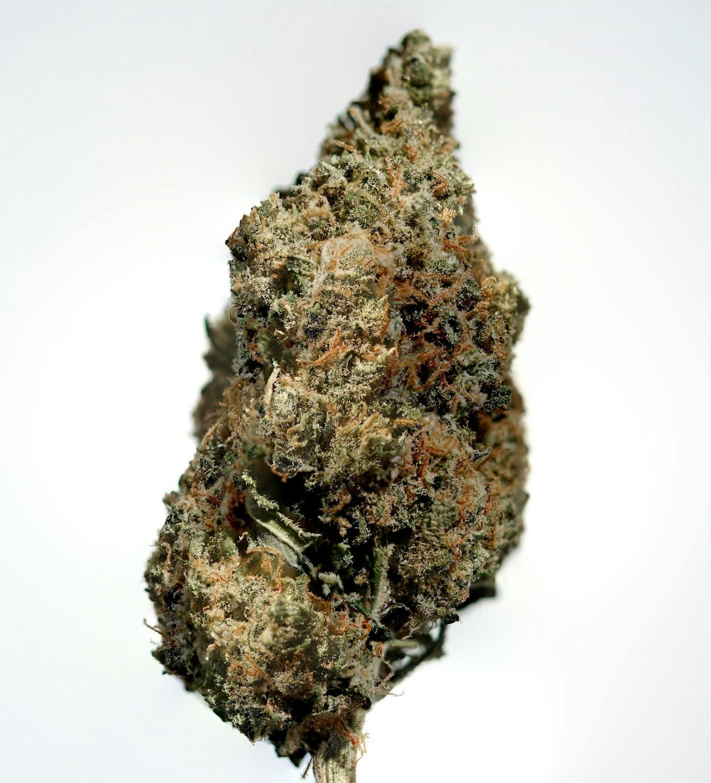 Headband X Grapebreath Flower