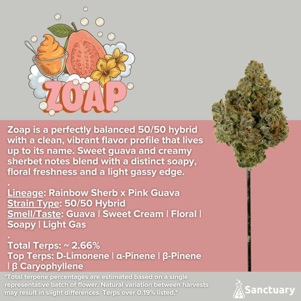 Zoap