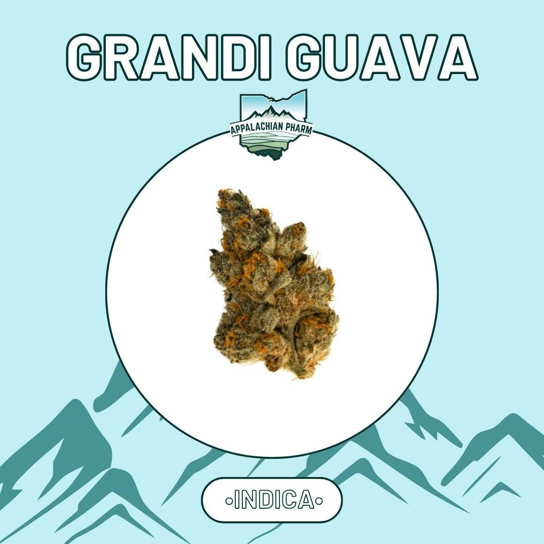 Shangri-La Monroe Superstore Weed Flower | Order Online