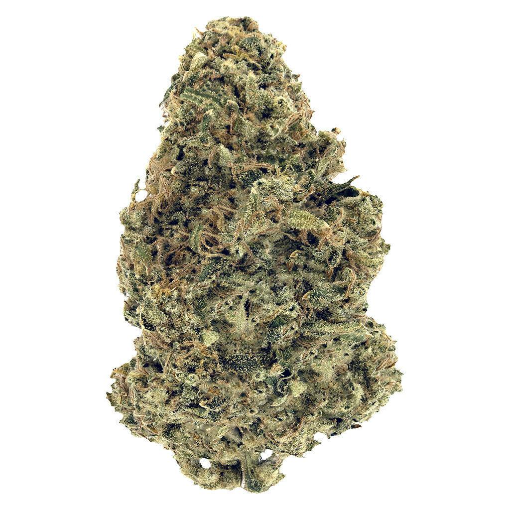 Woody Nelson - Warehouse Premium Smalls - Organic Pure Cake Skunk - Indica - 3.5g