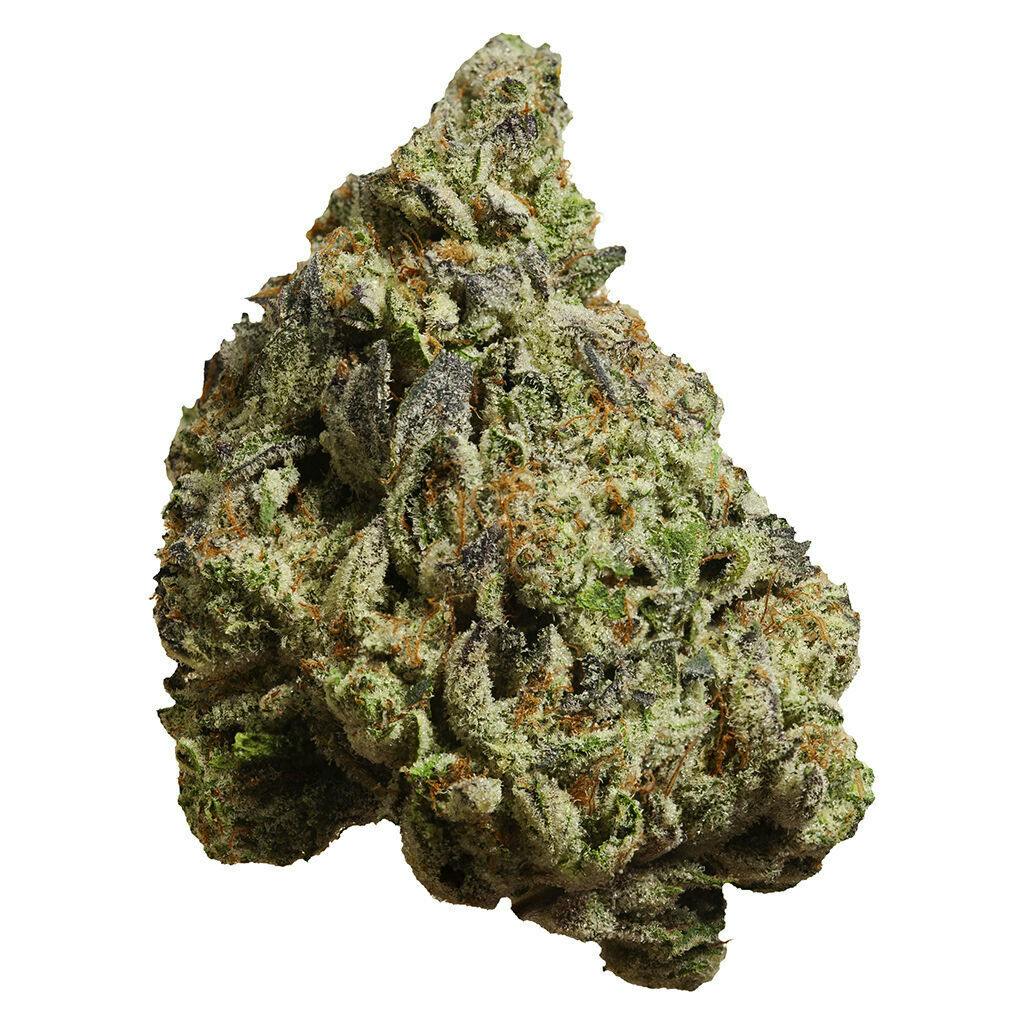 FOUR54 - Dubble Motorboat - 28g