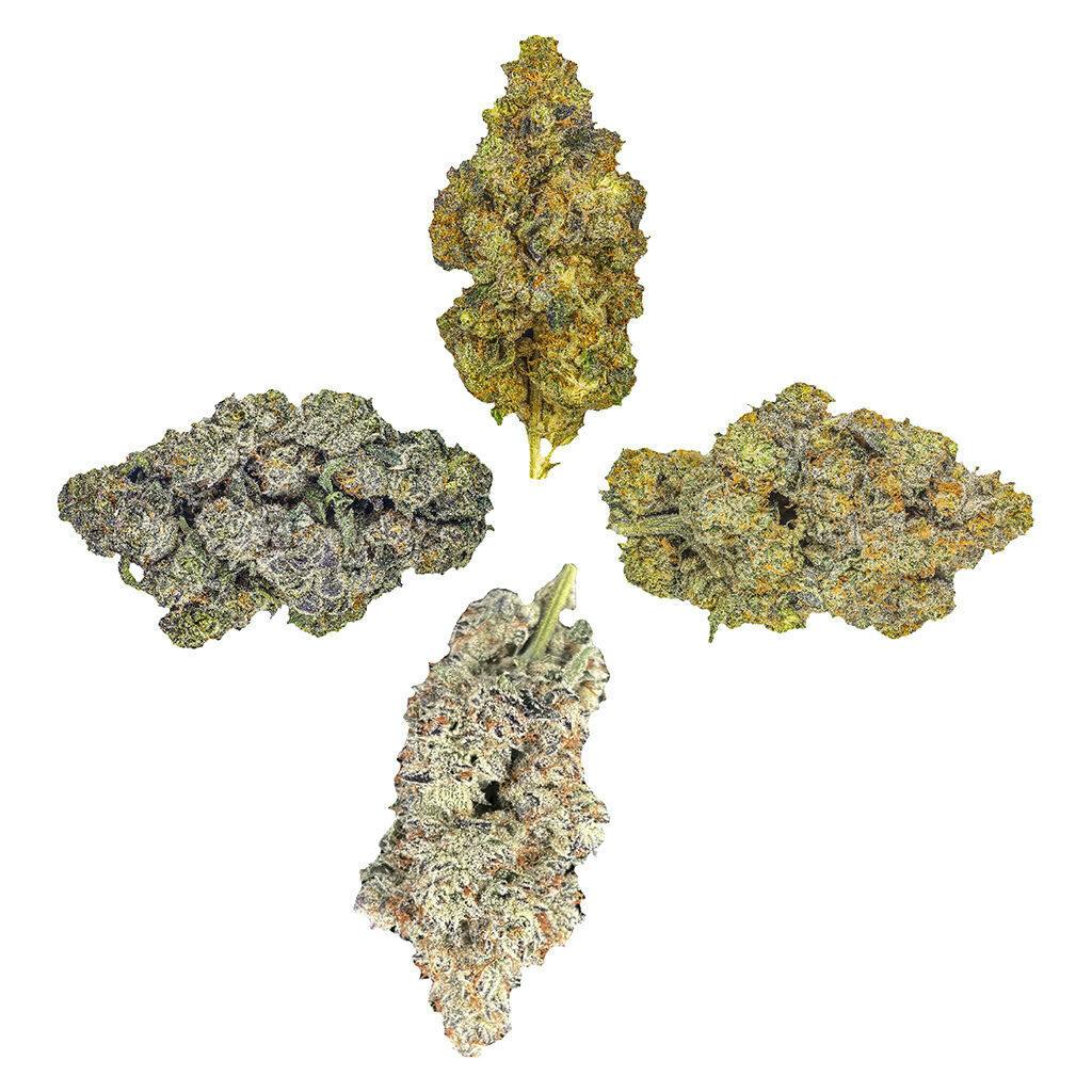 HighXotic - Royal Collection: The Quartet - Indica - 14g