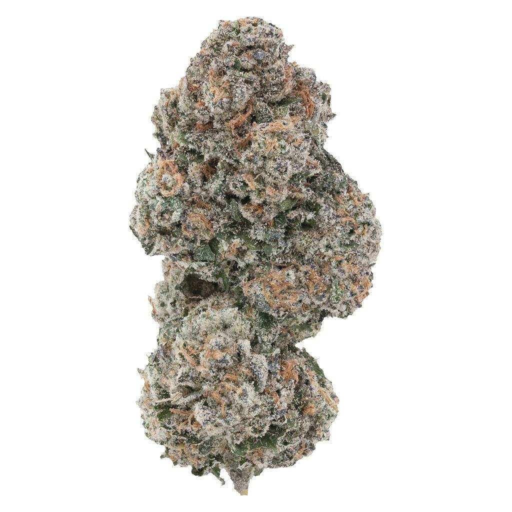 1964 - Sour Congo - Indica - 7g