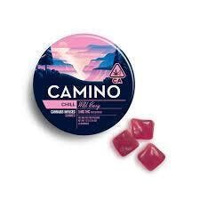 CAMINO — Chill Wild Berry