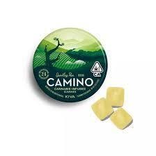 CAMINO — Social Sparkling Pear
