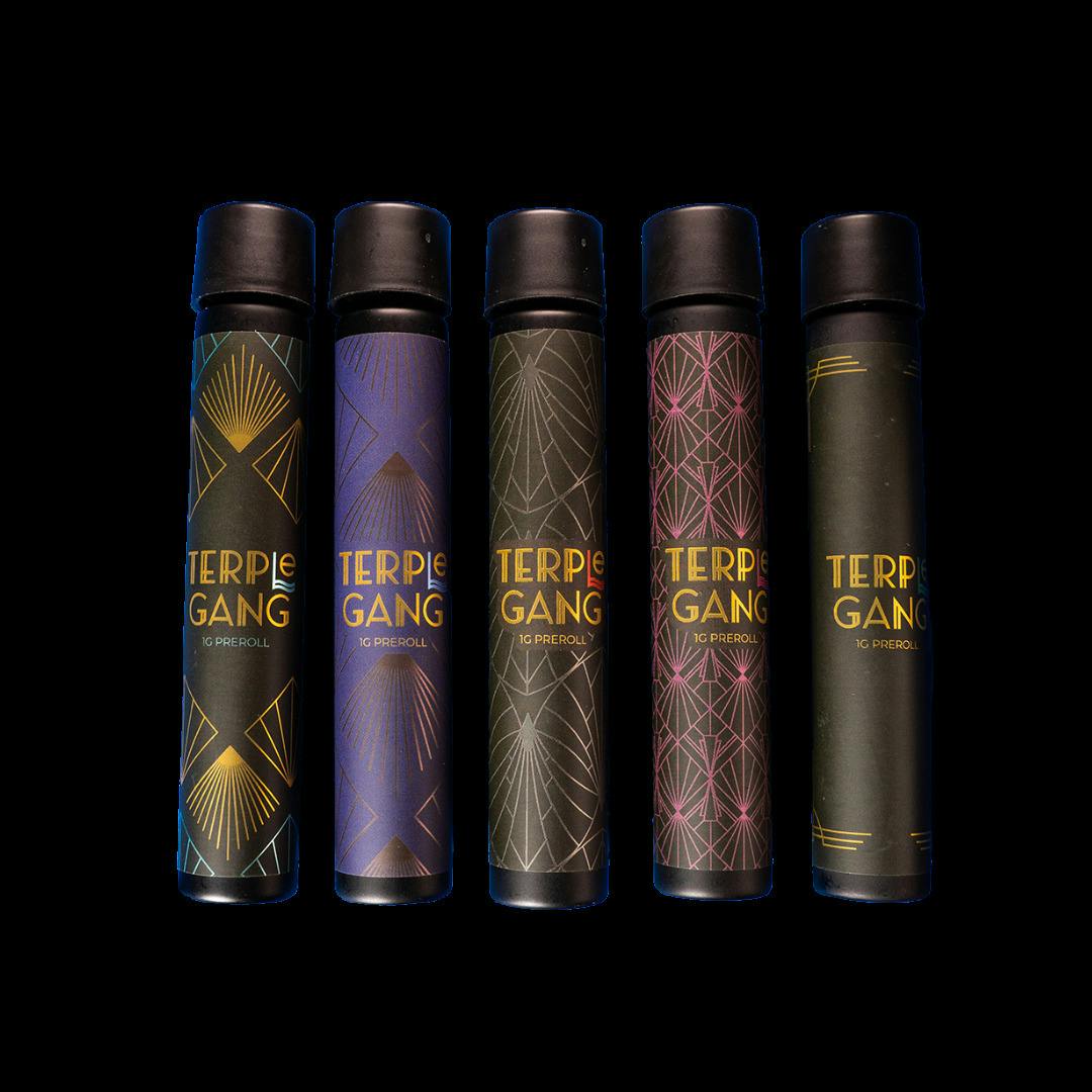 TerpLe Gang - Live Resin Pre-roll 1.25g - Cap Junky x Animal Cookie