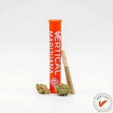 Vertical - Gush Mints - .5g - Preroll