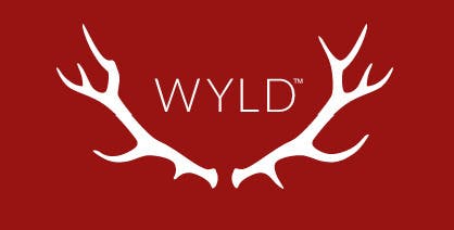 Wyld Raspberry Gummies 100mg (S)