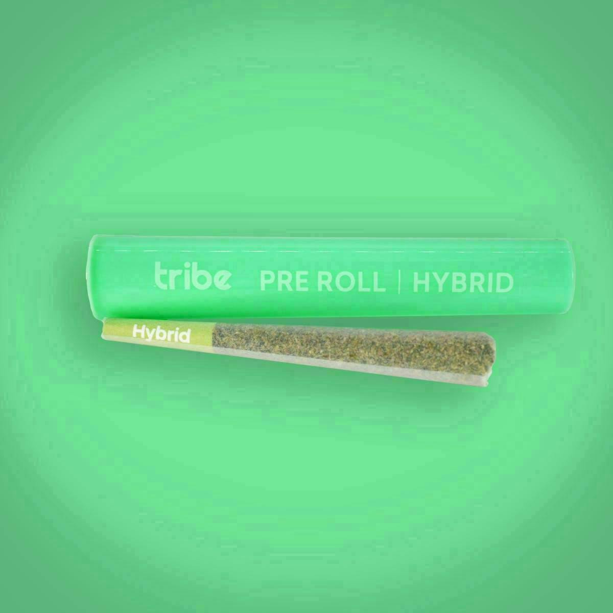 Tribe | Gary Payton x High Octane | Joint | 1g by Tribe