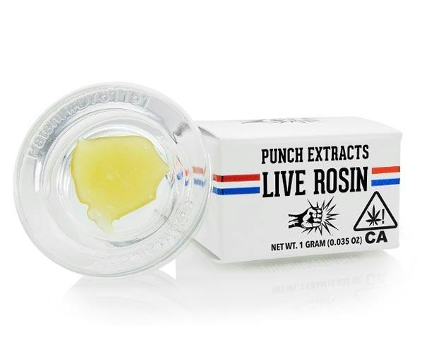 Punch | Garlic Dulce Syrup | Gold Tier | Live Rosin Badder | 1g