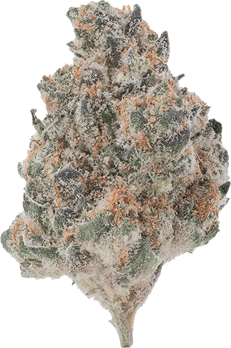 Verano / (the) Essence J's / Pre Roll / Ghost Milk - Indica / 5 Pack / 2.5G
