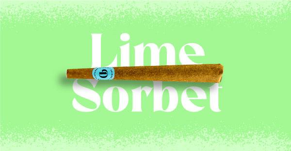 Loud Labs / Doinks Blunt / Infused / Lime Sorbet - Indica Hybrid / 1Pk / 1G