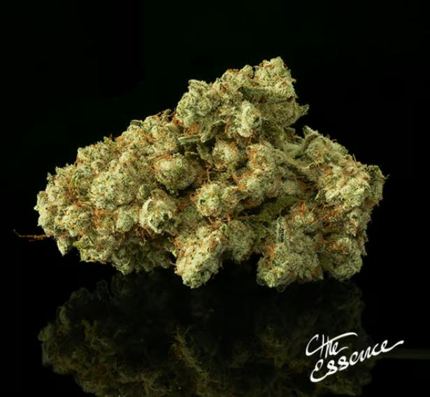Verano / (the) Essence J's / Pre Roll / Guerilla Grape - Indica Hybrid / 10 Pack / 5G