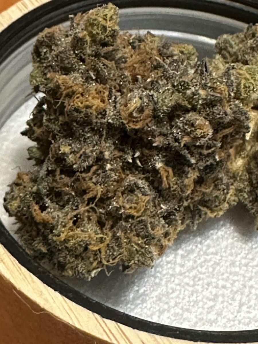 MGB / Whole Buds / Pink Guava - Hybrid / 3.5G
