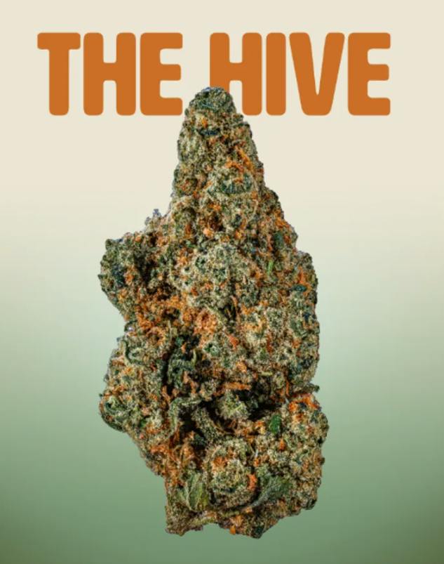 Glass Meadows / Flower / Mixed Buds / The Hive - Indica / 3.5G