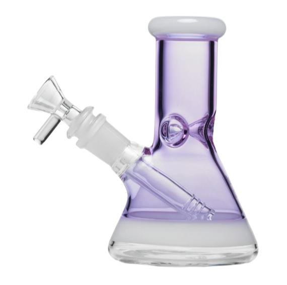 Human Grade 6" Beaker
