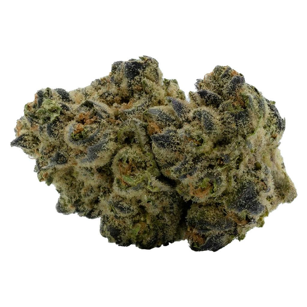 Qwest - Stuffed French Toast Hybrid - 3.5g