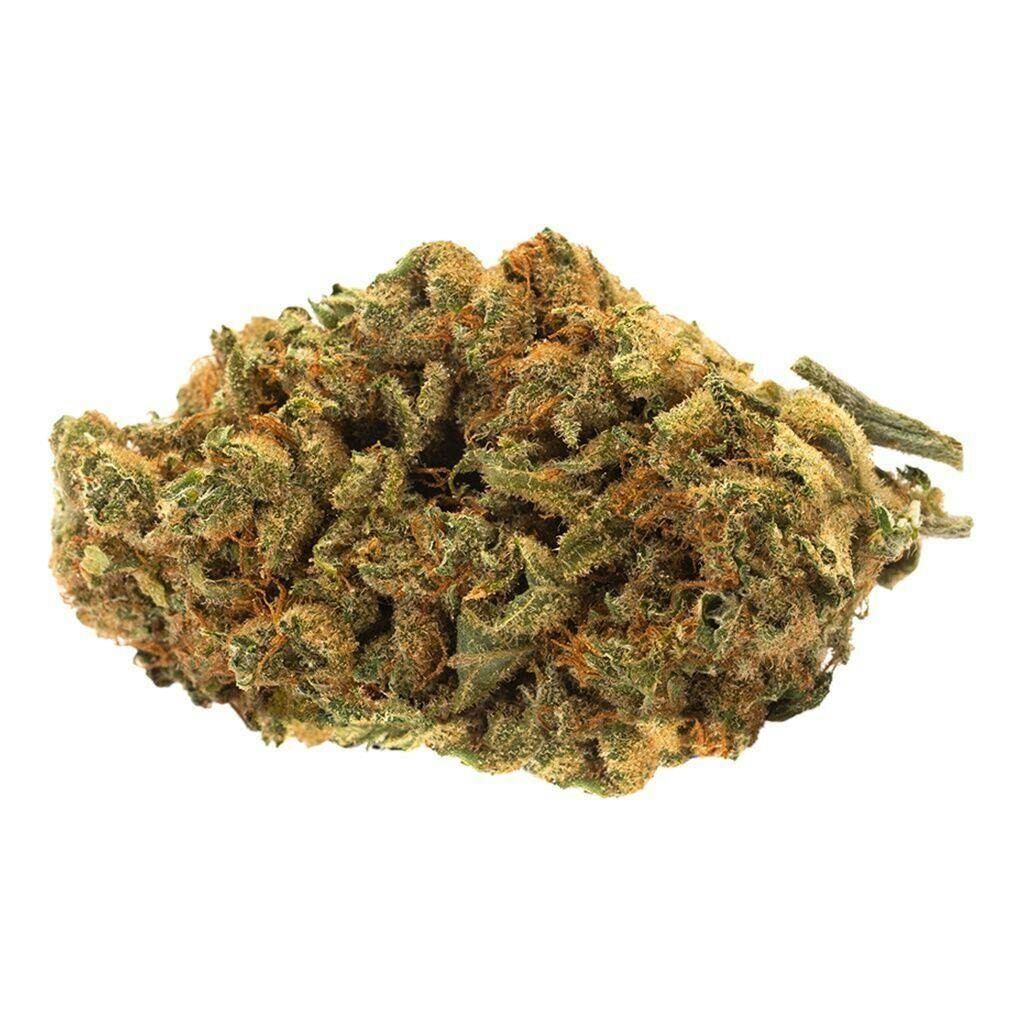 Indica Bud Indica - 28g