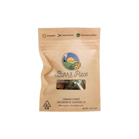 Burr's Place | Blueberry Pancakes (3.5g)
