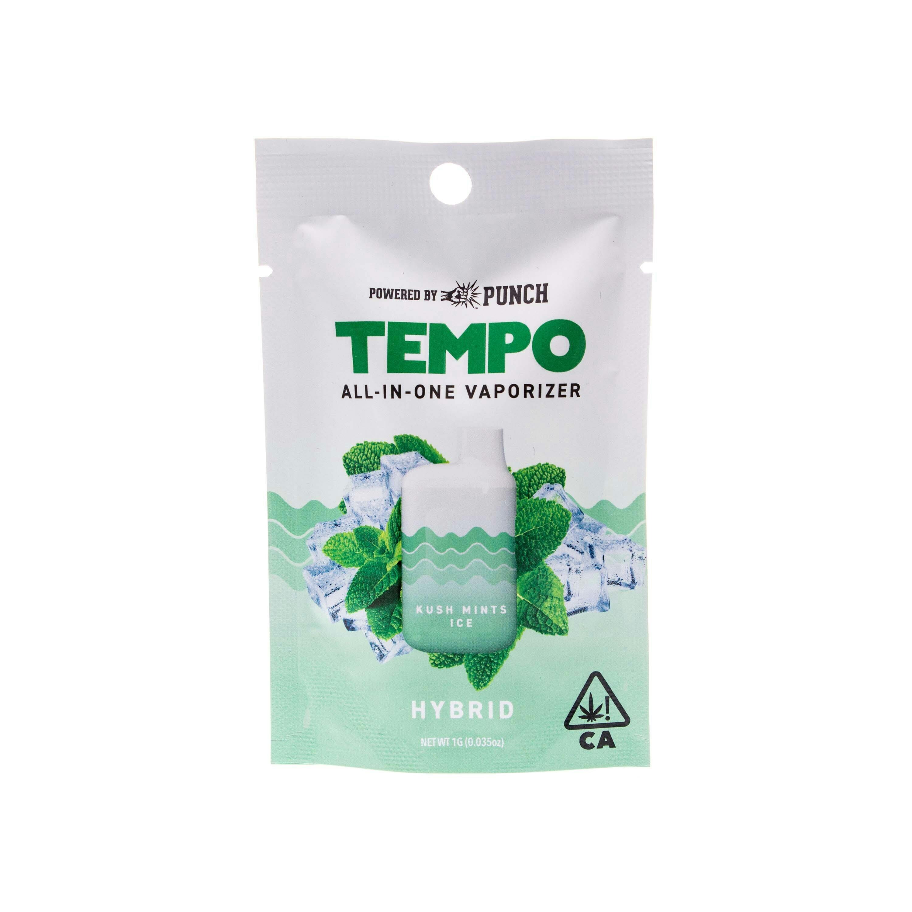 Tempo | Kush Mints Ice All-In-One Vape (1g)