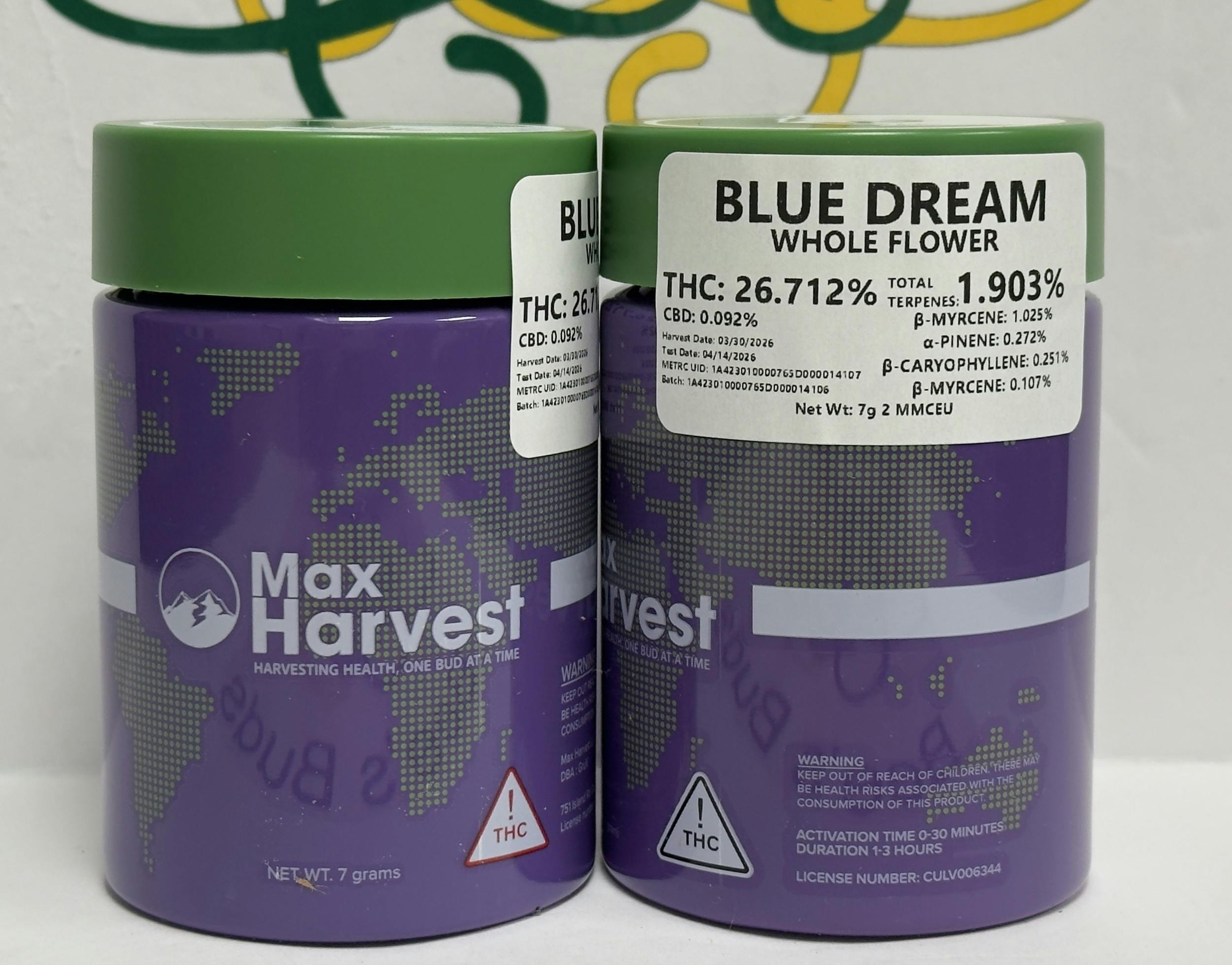 Gruv- Blue Dream 7g- 26% 2.2% terp (sat/hyb)