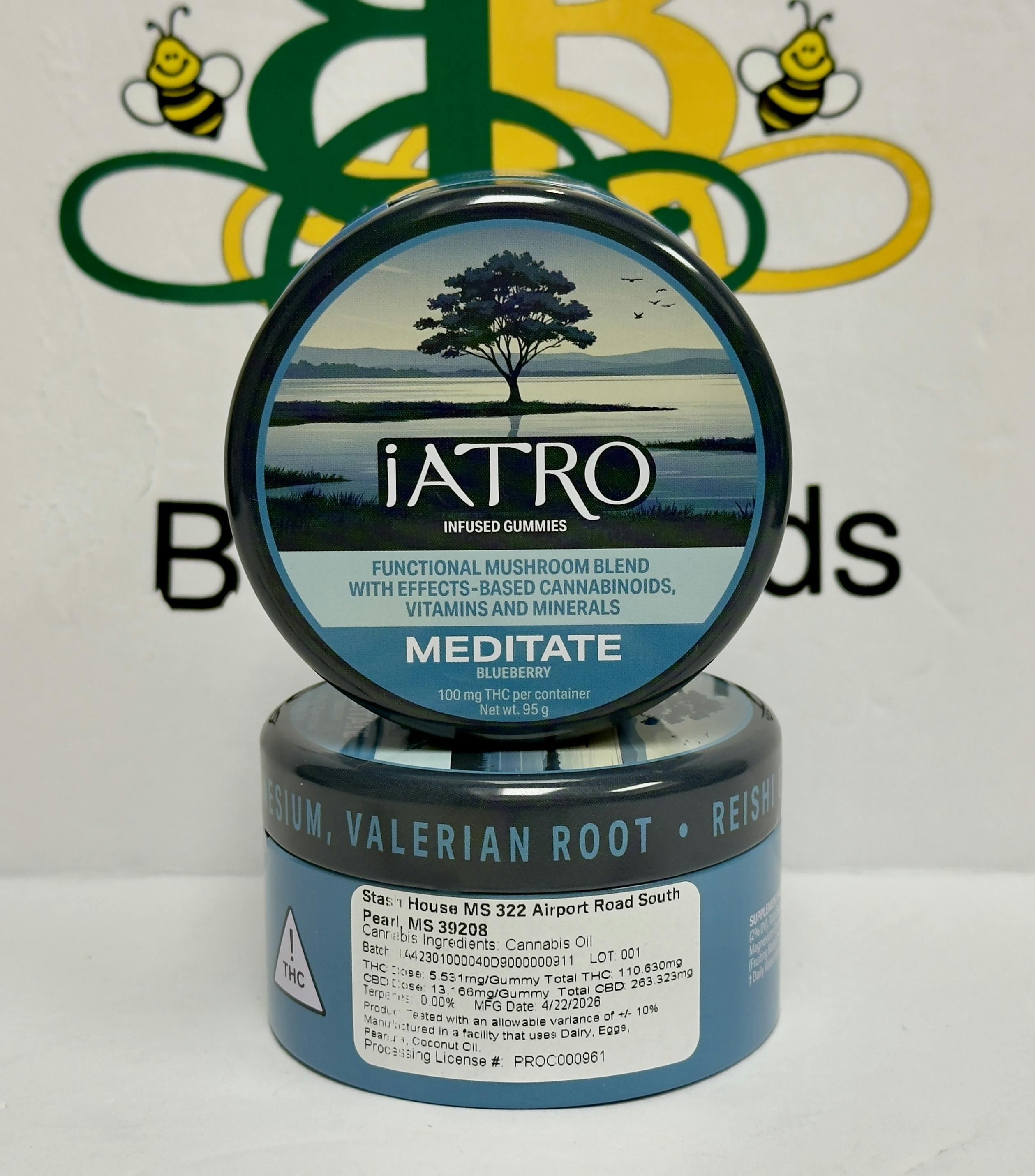 iATRO Blueberry Meditate 1:2.5 100mg 20 Pack