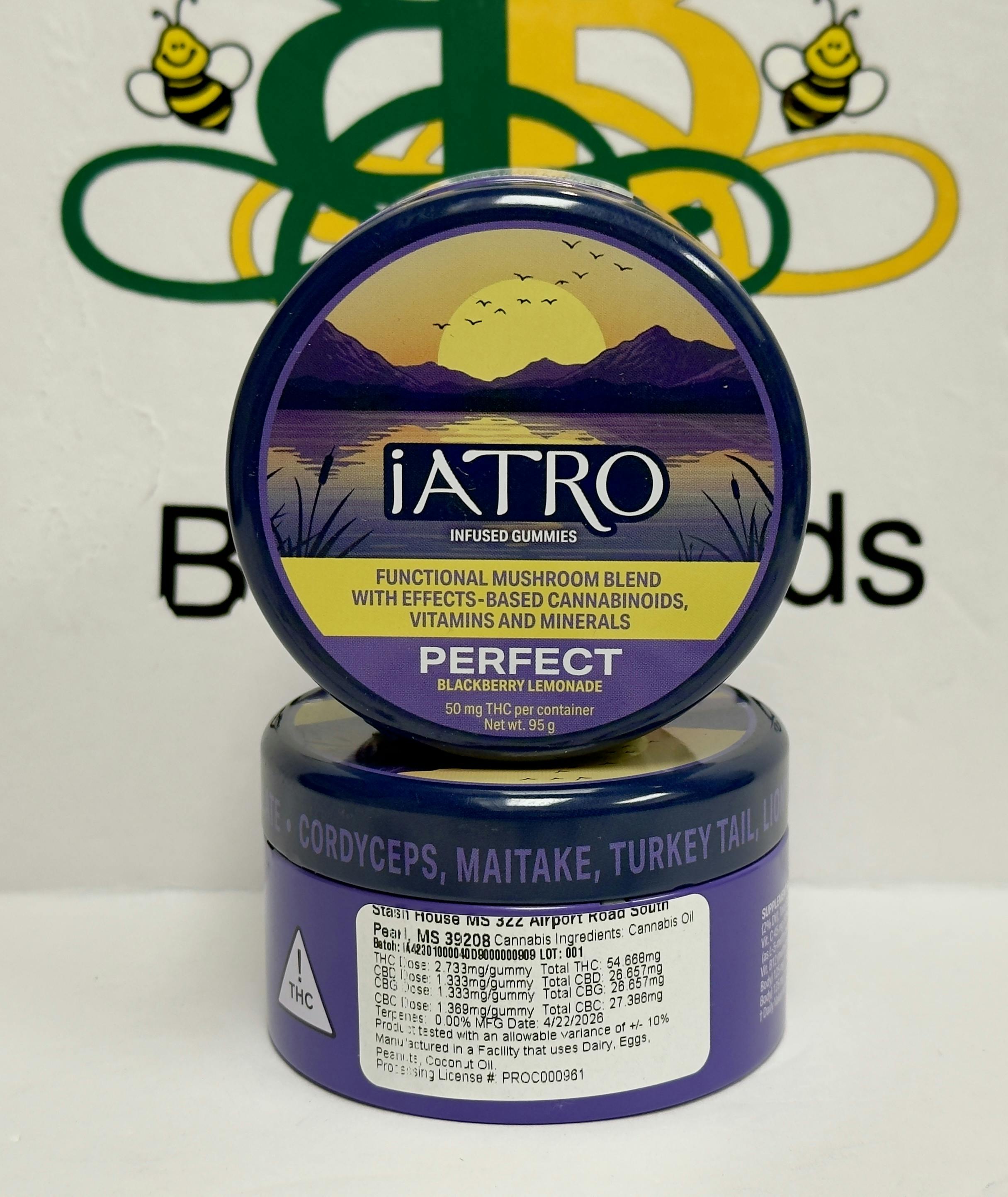 iATRO Blackberry Lemonade Perfect 2:1:1:1 50mg 20 Pack