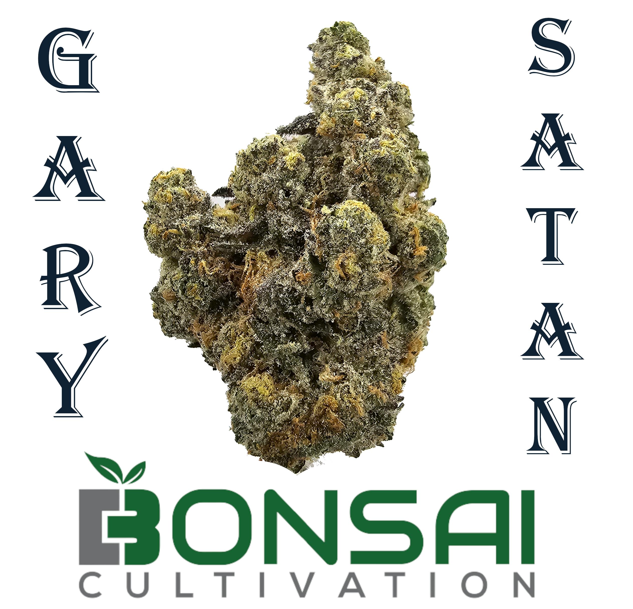 Gary Satan