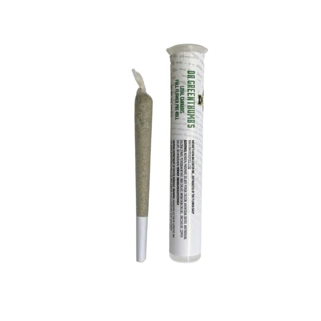 Gelly Donut [1.2g] | Dr. Greenthumbs - Infused Pre Roll