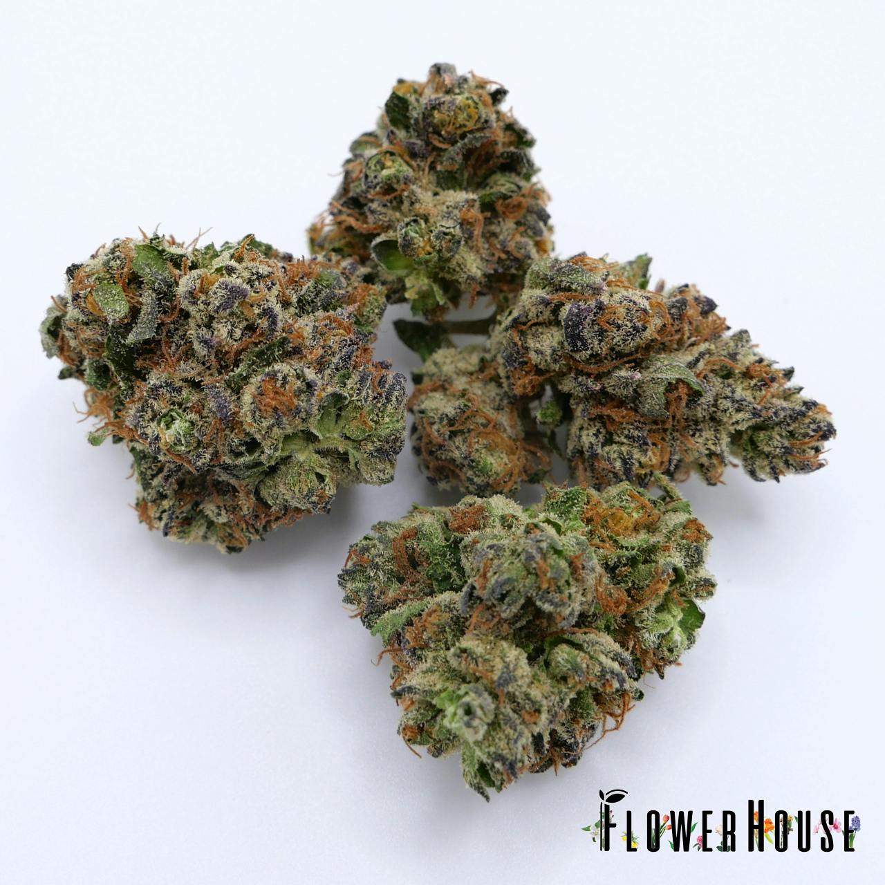 GELATO - 7G SMALLS