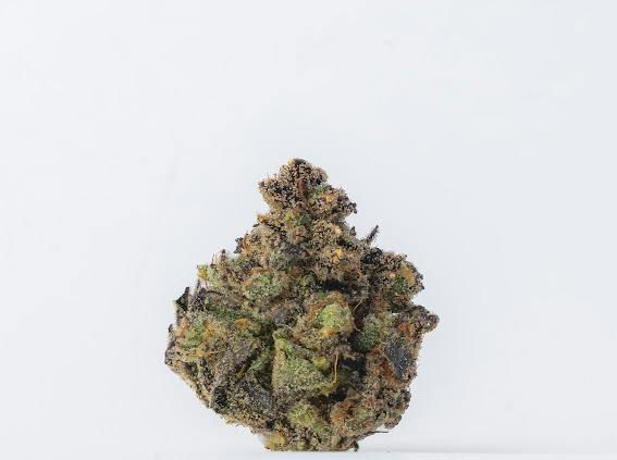 GASTRO POP - 3.5G FLOWER