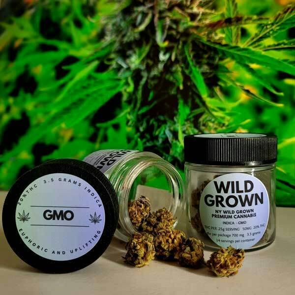 GMO - 3.5G FLOWER