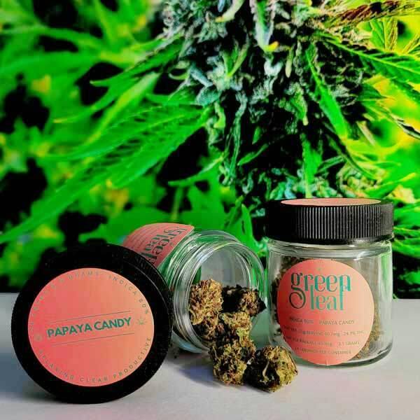 PAPAYA CANDY - 3.5G FLOWER