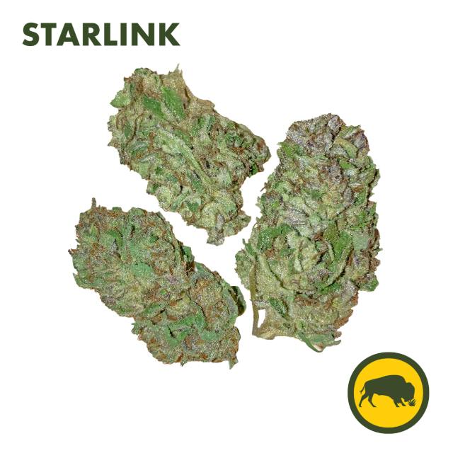 STARLINK - 3.5G FLOWER