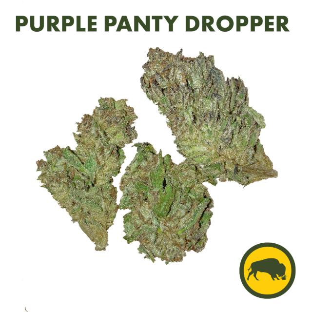 PURPLE PANTY DROPPER - 3.5G FLOWER