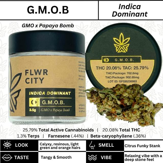 Gmob
